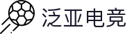 泛亚电竞·(中国区)电子竞技平台